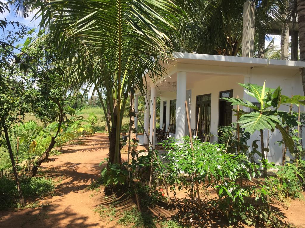 Shady Mango Villa Sigiriya Exterior foto